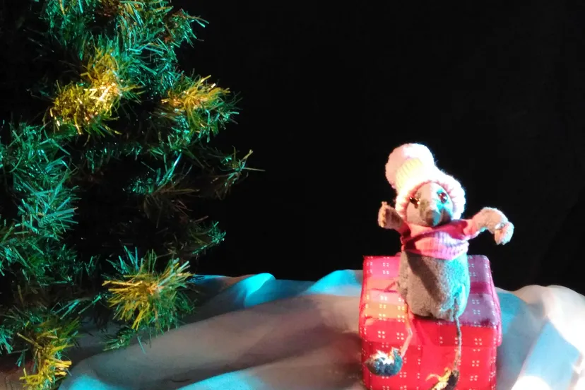 kleine muis en het pakje 002