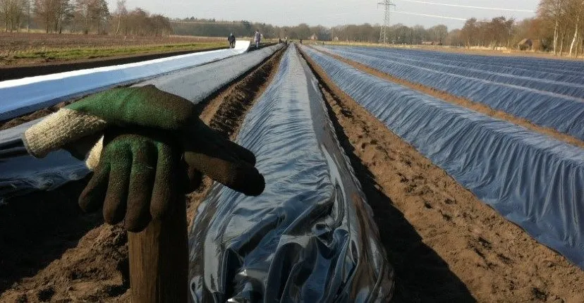 kwekerij weiland 1280x430