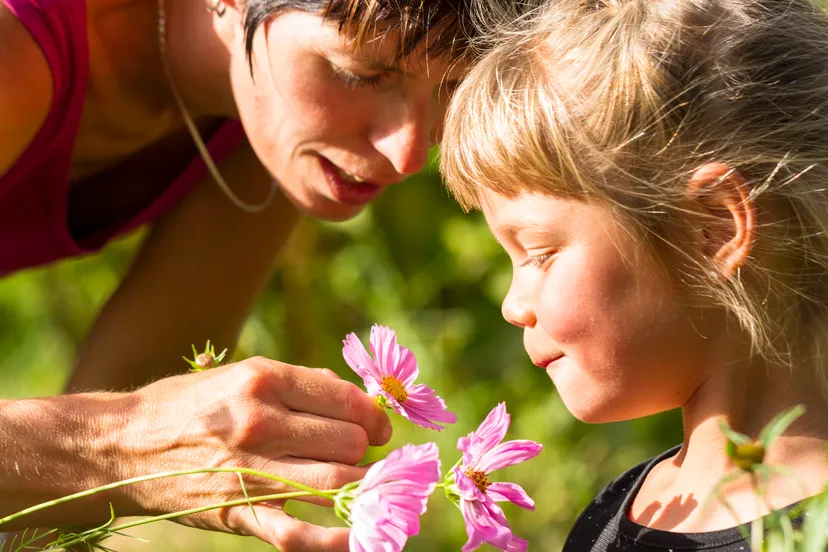 lentefestijn andries de la lande cremer