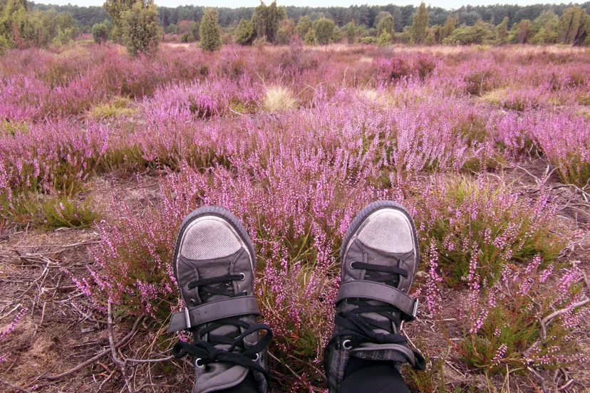 leukste plekje drenthe2