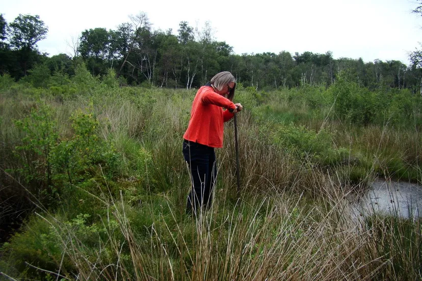 lezing anja verbers pingorunes