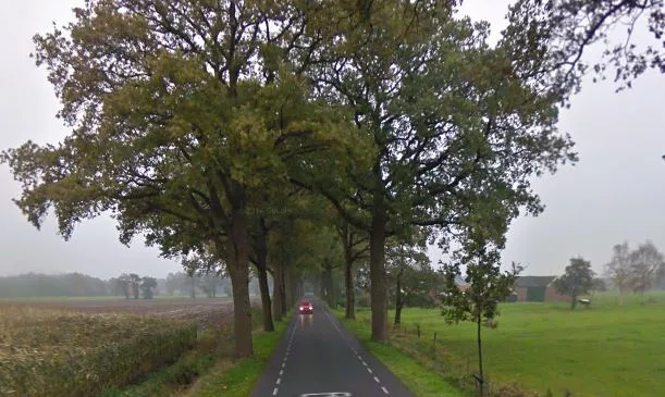 linderweg