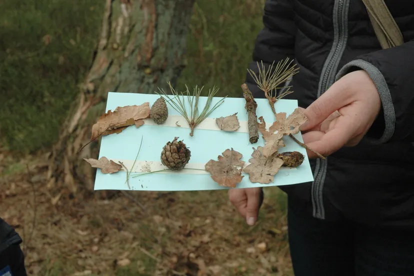 lo20671 knutselwerkje ineke muijser
