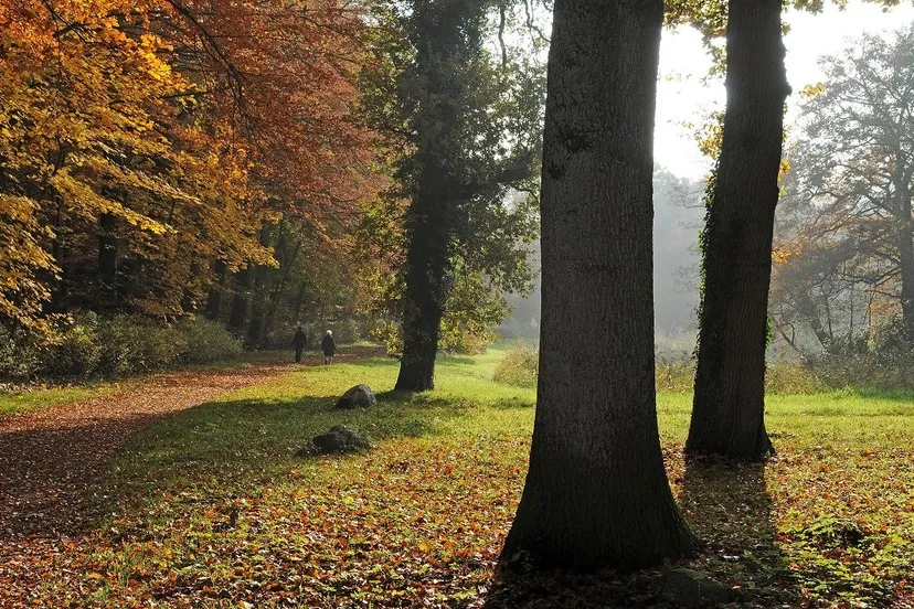 lo21694 maarten van geelen