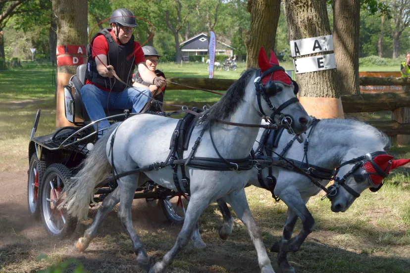 mei pn27052018 menwedstrijd zuidwolde13