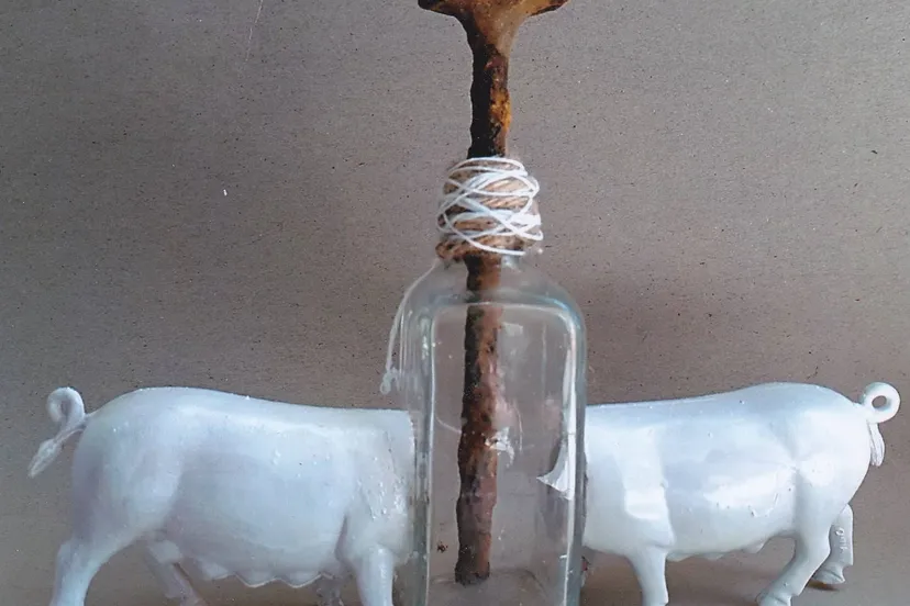 meppel expo stedelijk dd 185