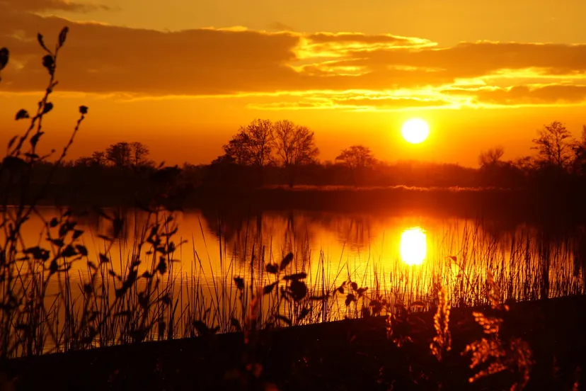 midzomernacht 2 andre donker