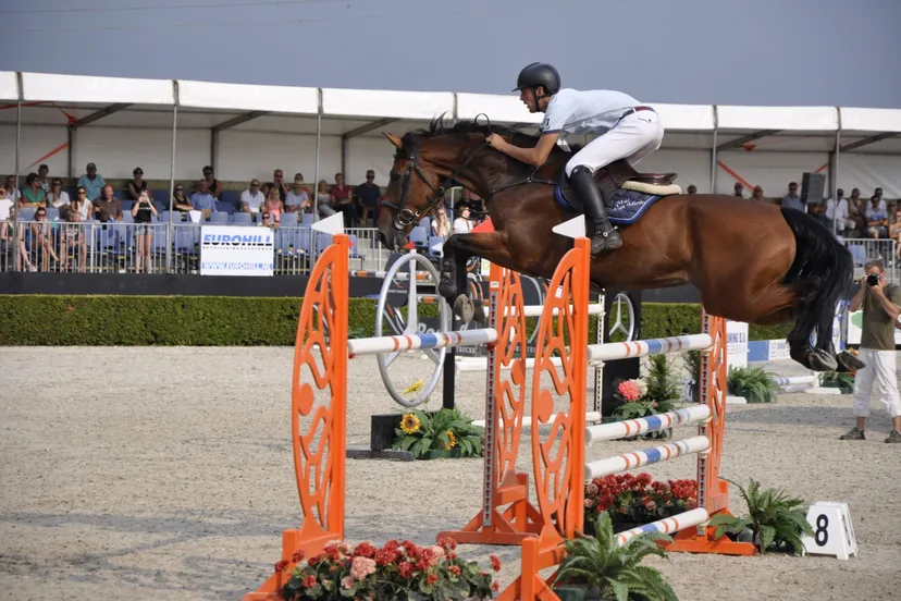 mierlo van michael01