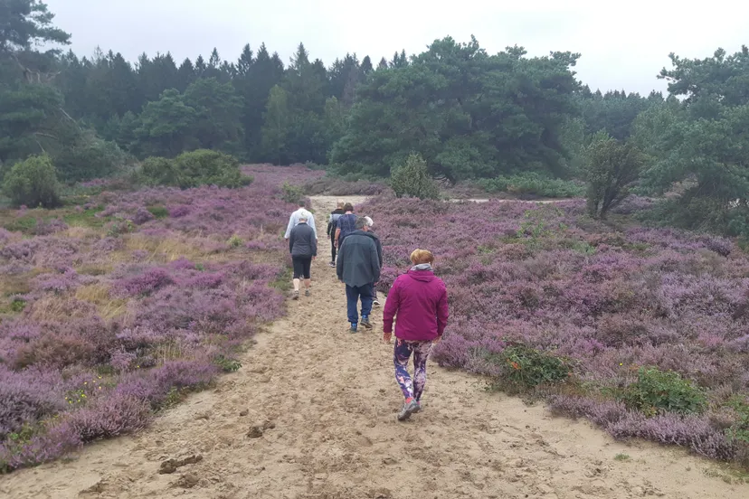 mind walk nienke veurink echtenerzand
