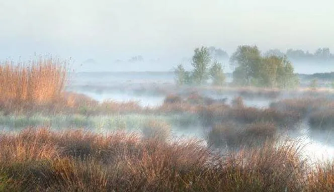 moordenaarsveen erik bethlehem 1