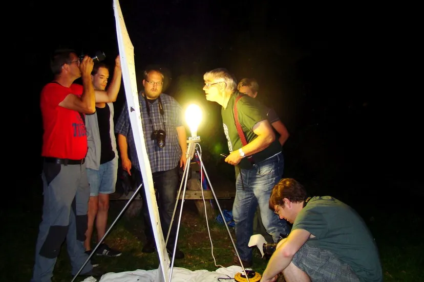 nachtvlinders inventariseren