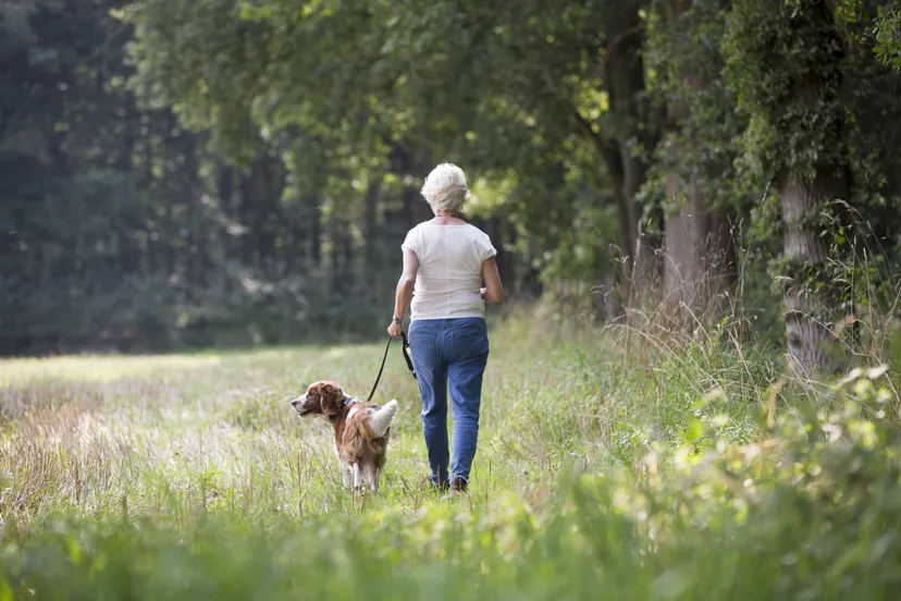 namo92444 vrouw met een aangelijnde hond pauline joosten