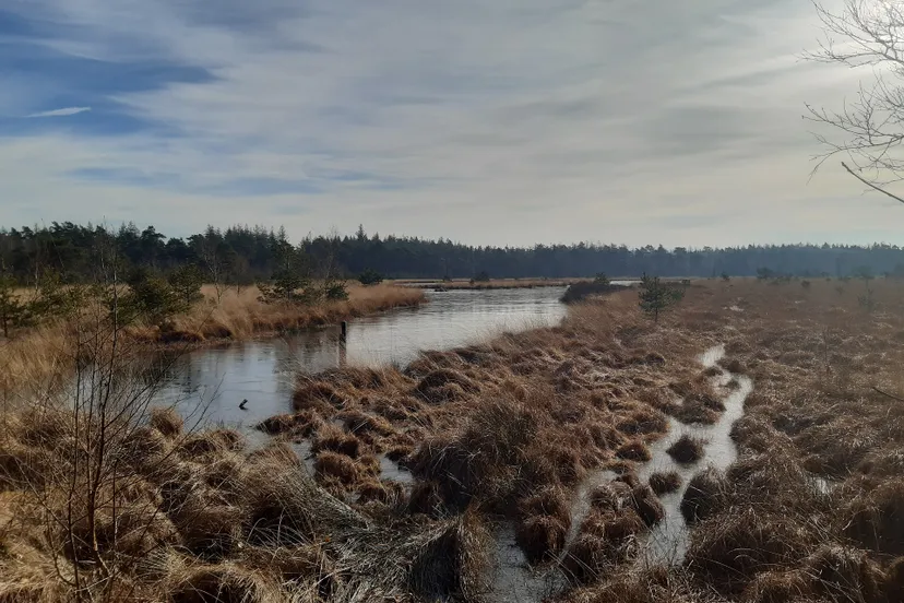 national park gc77a7f072 1920