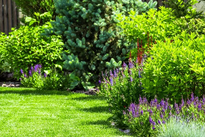 nationale tuinonderzoek 2020 van start