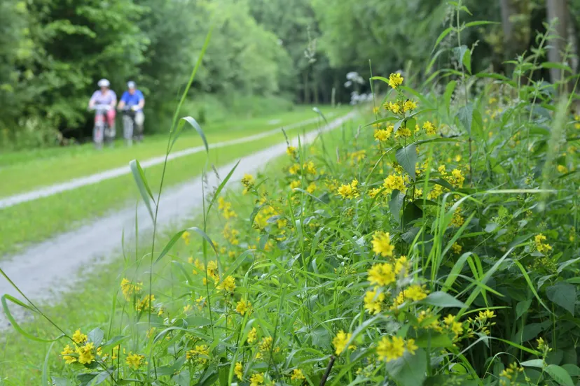 natuurmonumenten martin van lokven jpg