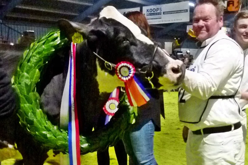 new moore esmeralda 38b