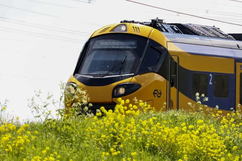 ns trein nieuw