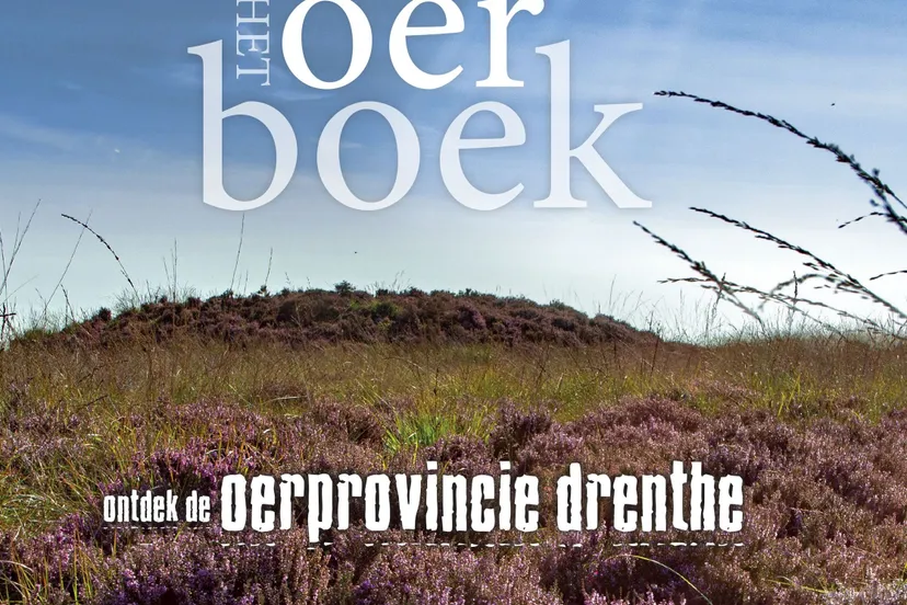 oerboek 2 omslag axel wiewel