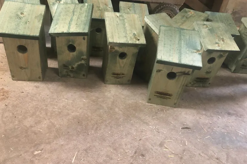 oldehave bos nestkastjes 1 foto ina alblas