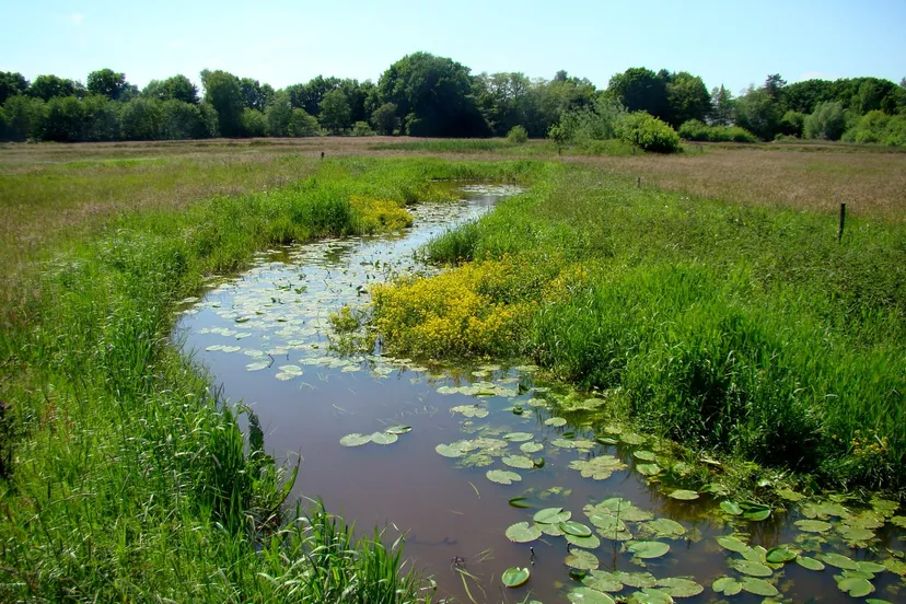 opstap 0201 de reest joop verburg 002