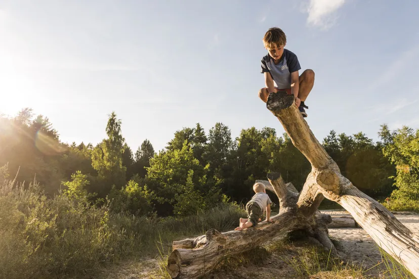 opstap 0310 boswachter bootcamp rene koster 1