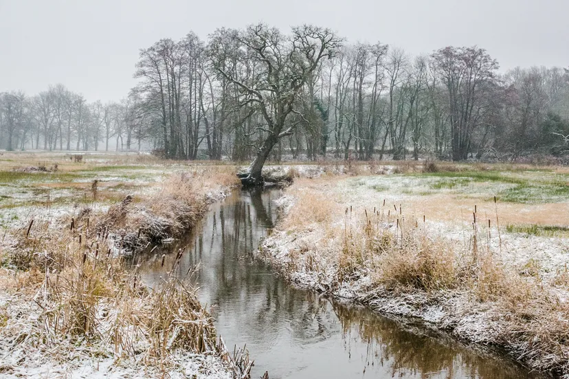 opstap 0602 ab np drentsche aa 7684