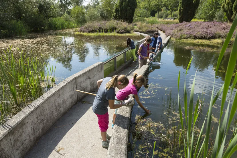 opstap 1007 waterdiertjes vangen natuurmonumenten 002