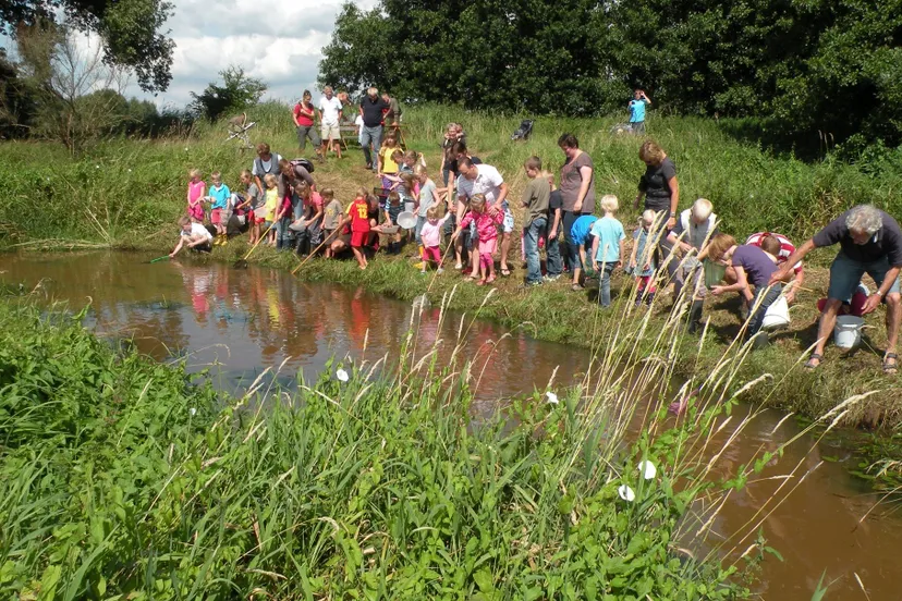 opstap 1508 waterdiertjes zoeken foto jan mager het drentse landschap