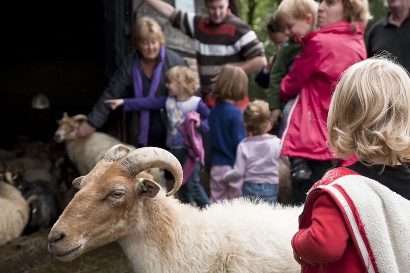 opstap 1710 kom in de kooi lhee foto andries de la lande cremer