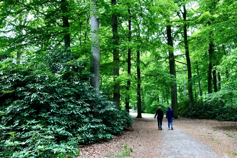 opstap 2108 routeapp wandelaars cb