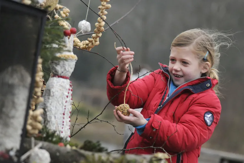 opstap vogel snack rob doolaard 002