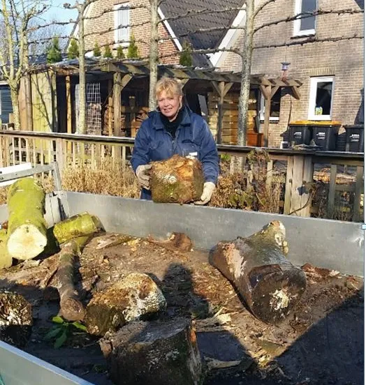 paulas workout thuis2