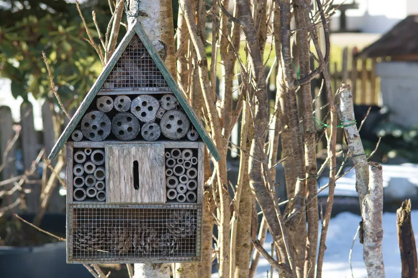 pixabay insect hotel 4883702 1920