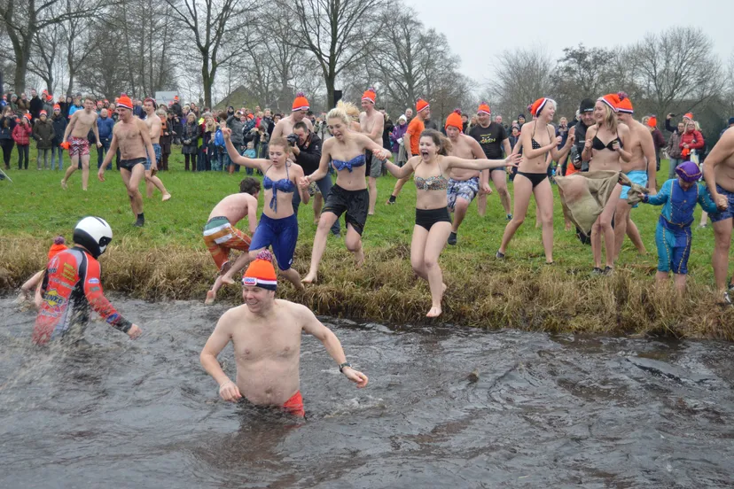 pn01012015nwjaarsduikdewijk3