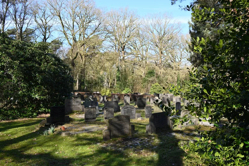 pn01032023 zuidwolde begraafplaats5