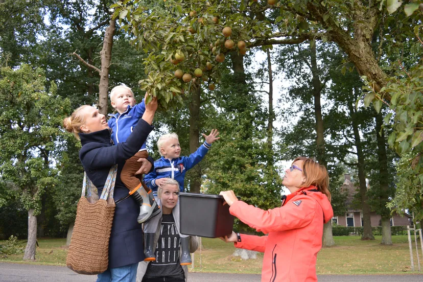 pn01102016 perenpluk3