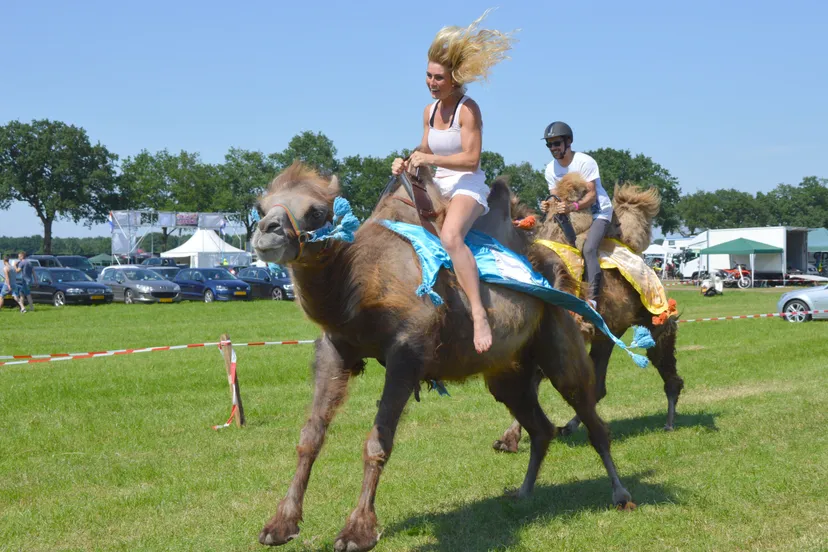 pn05062016 crisiscross7 1