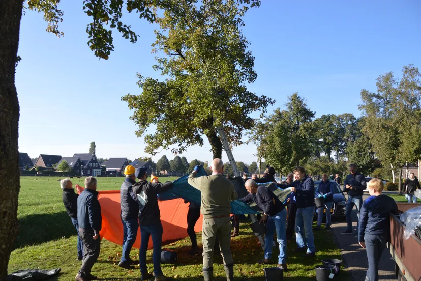 pn05102019 perenpluk lions5