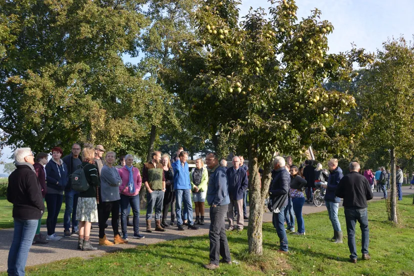 pn06102018 perenpluk7