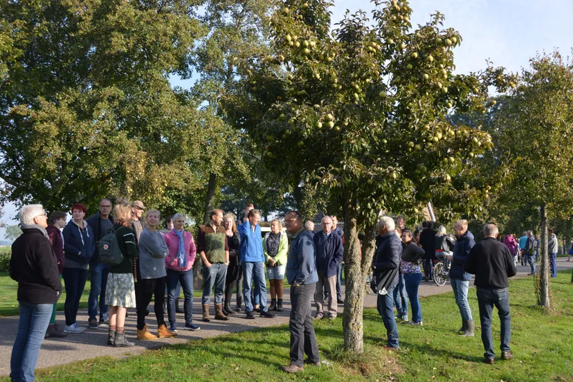 pn06102018 perenpluk7