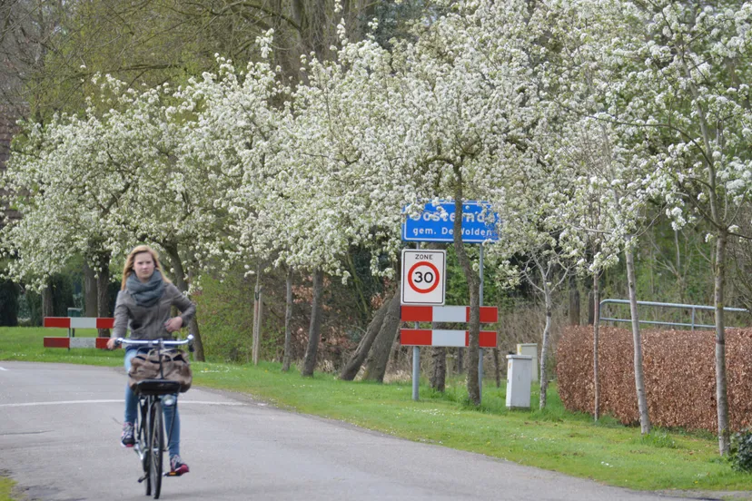 pn07042014 perenbloesem oosteinde