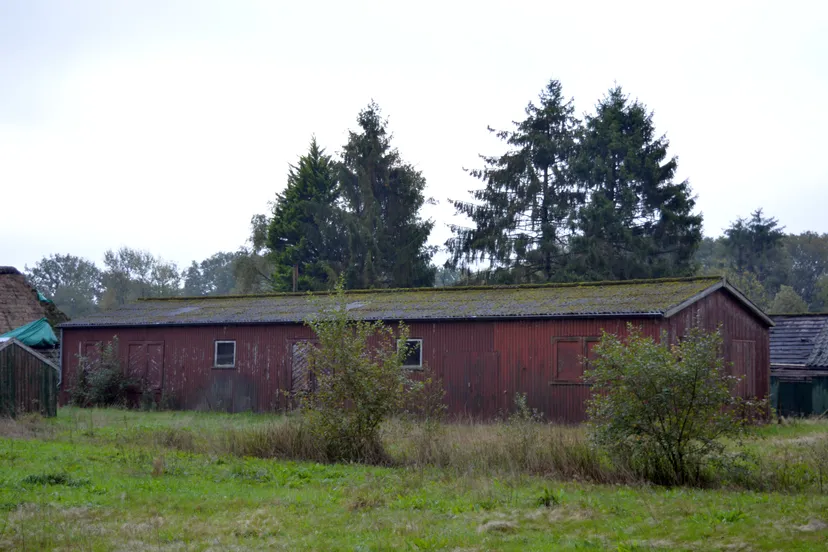 pn08092019 barak linde3