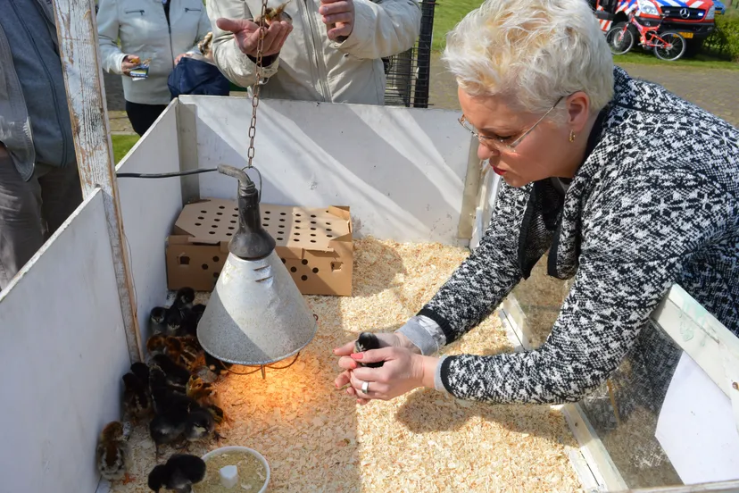 pn09042016 stiggeltiesdag3