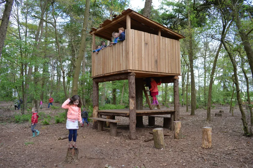 pn10052017belevingsboskerkenveld8