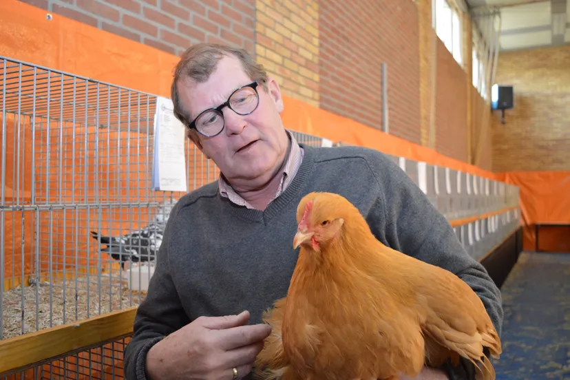 pn11112016 meine jan zegeren rkc ruinen