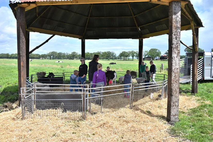 pn15062024 linde koekroelen festival1