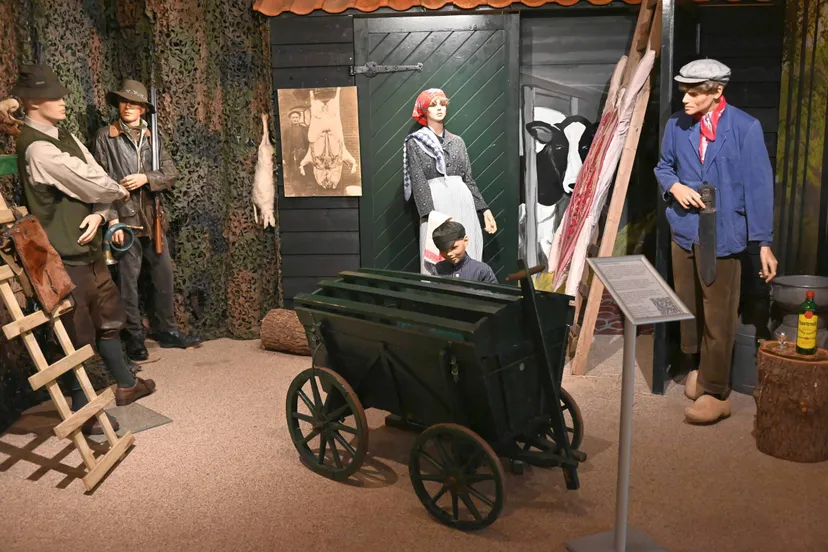 pn16062023 zuidwolde de wemme expo eet smakelijk4