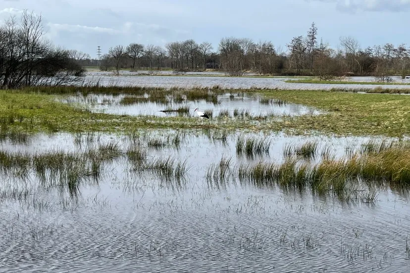 pn19022022 meppel water reest