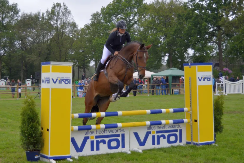 pn19052018 ch de wijk1