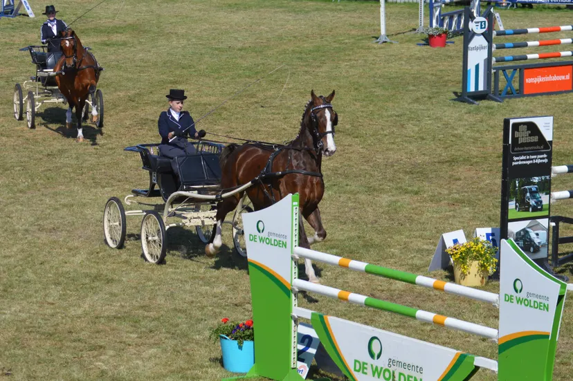 pn21052018 ch de wijk tuigpaarden young riders3